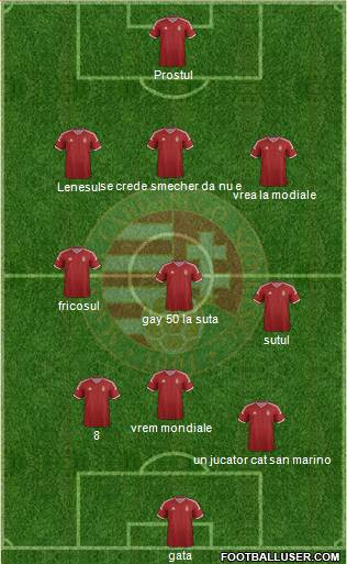 Hungary Formation 2015