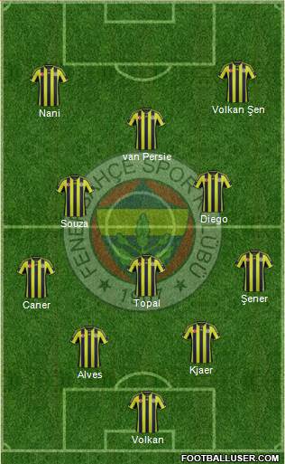 Fenerbahçe SK Formation 2015