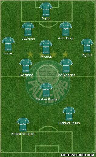 SE Palmeiras Formation 2015