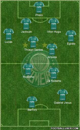 SE Palmeiras Formation 2015