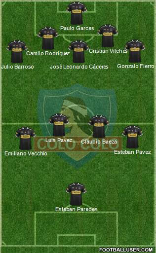 CSD Colo Colo Formation 2015