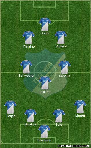 TSG 1899 Hoffenheim Formation 2015