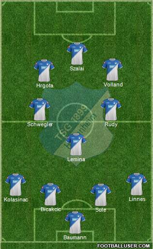 TSG 1899 Hoffenheim Formation 2015