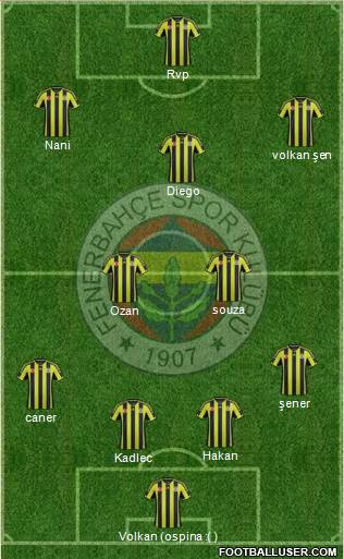 Fenerbahçe SK Formation 2015