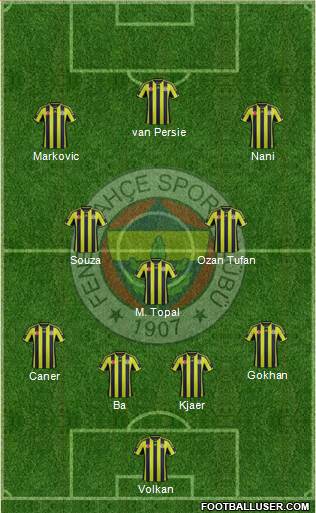 Fenerbahçe SK Formation 2015