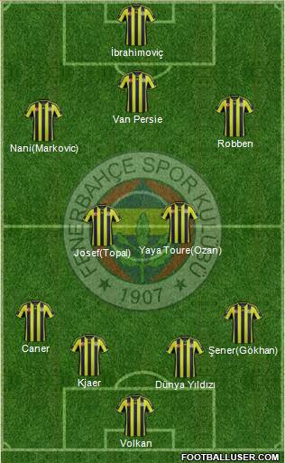 Fenerbahçe SK Formation 2015