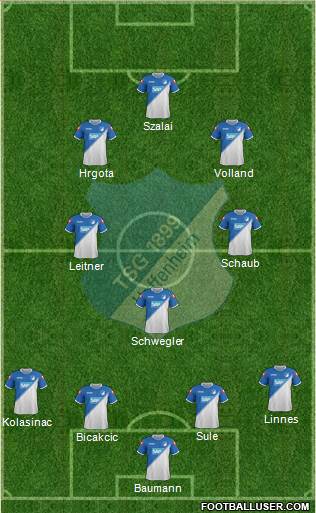 TSG 1899 Hoffenheim Formation 2015