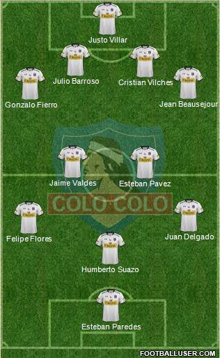 CSD Colo Colo Formation 2015