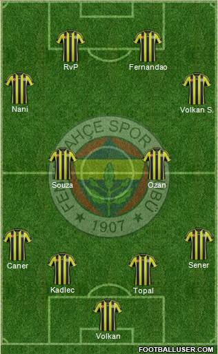 Fenerbahçe SK Formation 2015