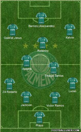 SE Palmeiras Formation 2015