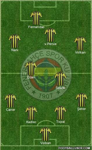 Fenerbahçe SK Formation 2015