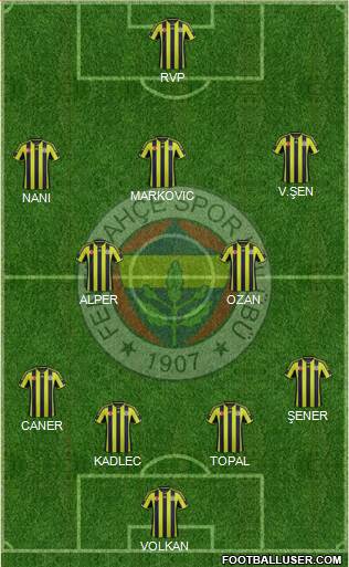 Fenerbahçe SK Formation 2015