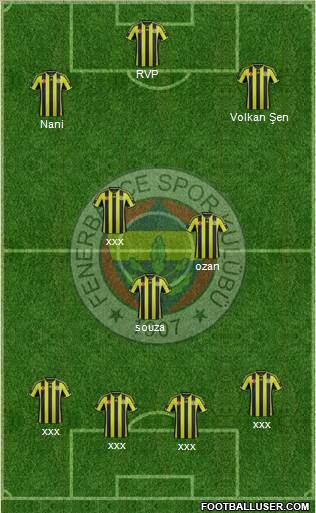 Fenerbahçe SK Formation 2015