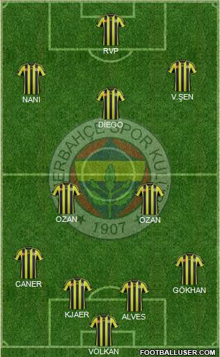 Fenerbahçe SK Formation 2015
