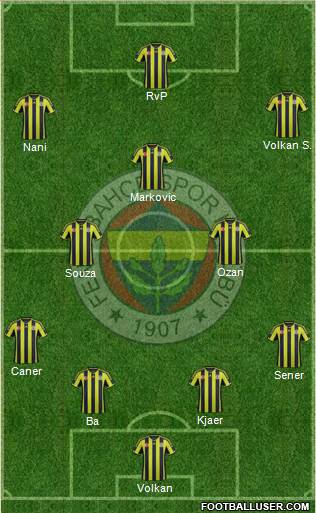 Fenerbahçe SK Formation 2015