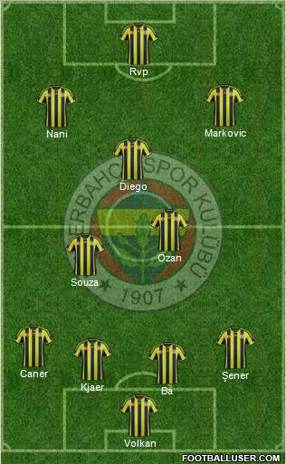 Fenerbahçe SK Formation 2015