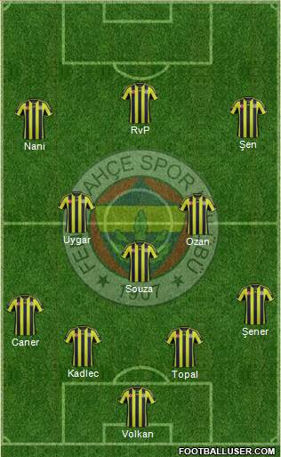Fenerbahçe SK Formation 2015