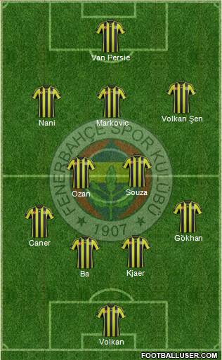 Fenerbahçe SK Formation 2015