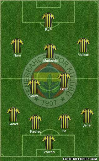 Fenerbahçe SK Formation 2015
