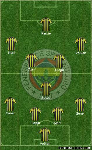 Fenerbahçe SK Formation 2015