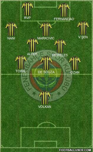 Fenerbahçe SK Formation 2015