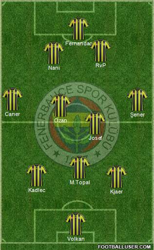 Fenerbahçe SK Formation 2015