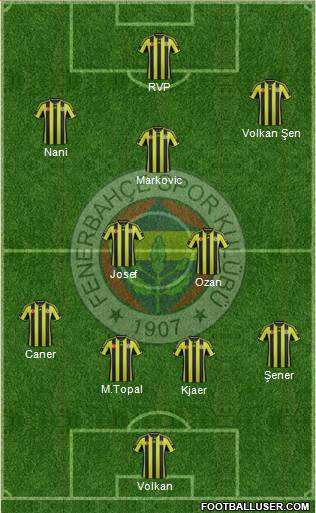 Fenerbahçe SK Formation 2015
