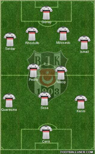 Besiktas JK Formation 2015