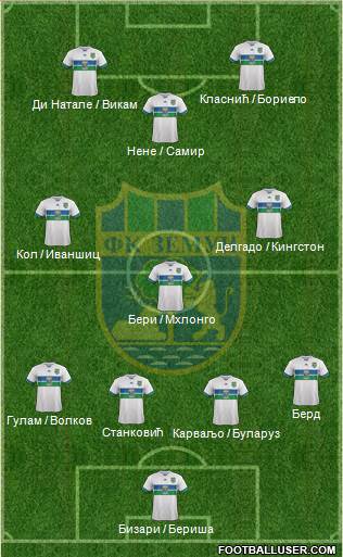 FK Zemun Formation 2015