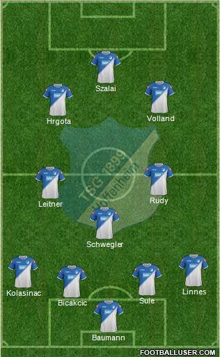 TSG 1899 Hoffenheim Formation 2015