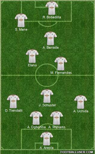 Swansea City Formation 2015