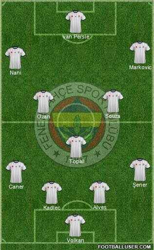 Fenerbahçe SK Formation 2015