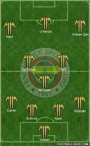 Fenerbahçe SK Formation 2015