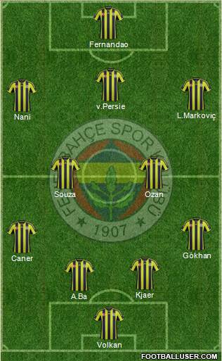 Fenerbahçe SK Formation 2015