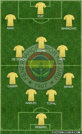 Fenerbahçe SK Formation 2015