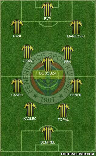 Fenerbahçe SK Formation 2015