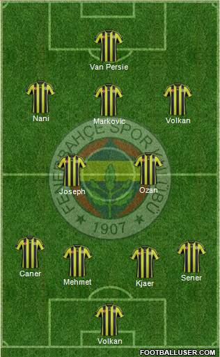 Fenerbahçe SK Formation 2015