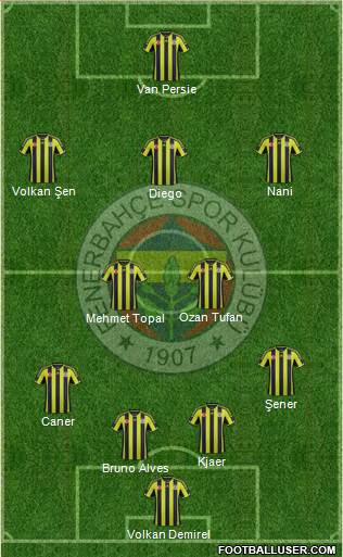 Fenerbahçe SK Formation 2015