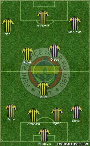 Fenerbahçe SK Formation 2015