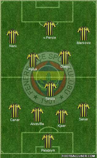 Fenerbahçe SK Formation 2015