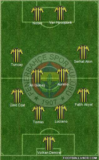 Fenerbahçe SK Formation 2015