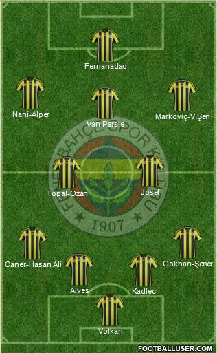 Fenerbahçe SK Formation 2015