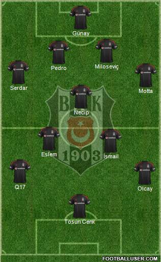 Besiktas JK Formation 2015