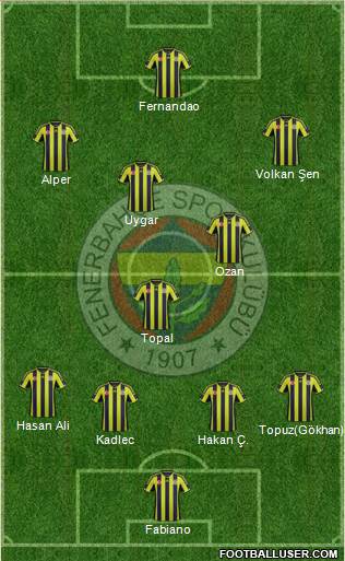 Fenerbahçe SK Formation 2015