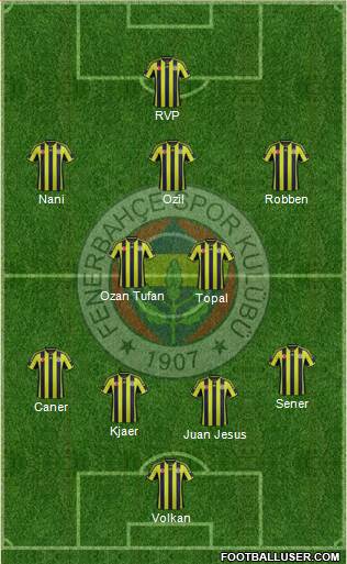 Fenerbahçe SK Formation 2015