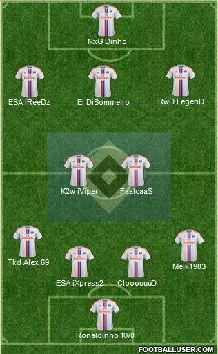 Hamburger SV Formation 2015