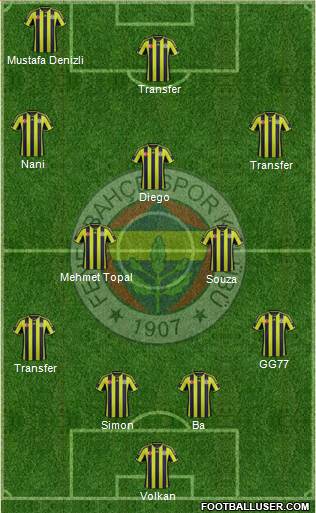 Fenerbahçe SK Formation 2015