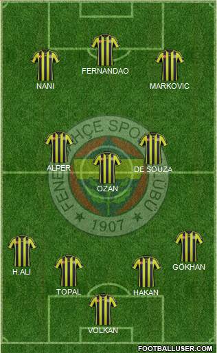 Fenerbahçe SK Formation 2015