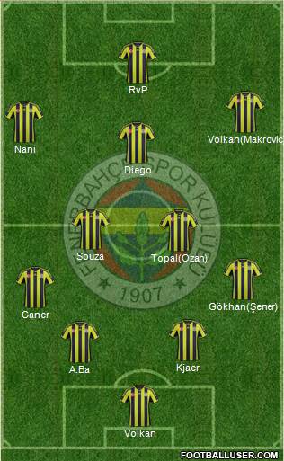 Fenerbahçe SK Formation 2015