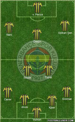 Fenerbahçe SK Formation 2015